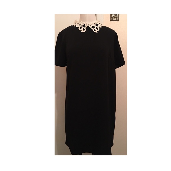 NWT Black Dress - Picture 2 of 2